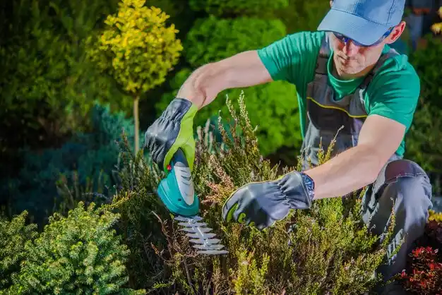landscaping services Garyville